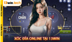 Xóc Đĩa Online Tại 13Win